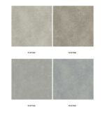 CORAL (Chinese Collection) - Image 30