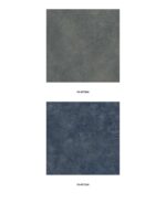 CORAL (Chinese Collection) - Image 31