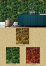 CROWN (Chinese Collection) - Image 16