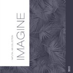 IMAGINE (Korean Collection)