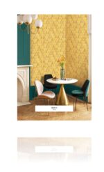 FOCUS (Korean Collection) - Image 13