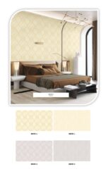 FOCUS (Korean Collection) - Image 23