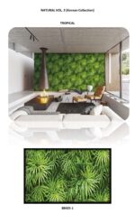 NATURAL (Korean Collection)