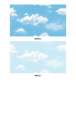 NATURAL (Korean Collection) - Image 49